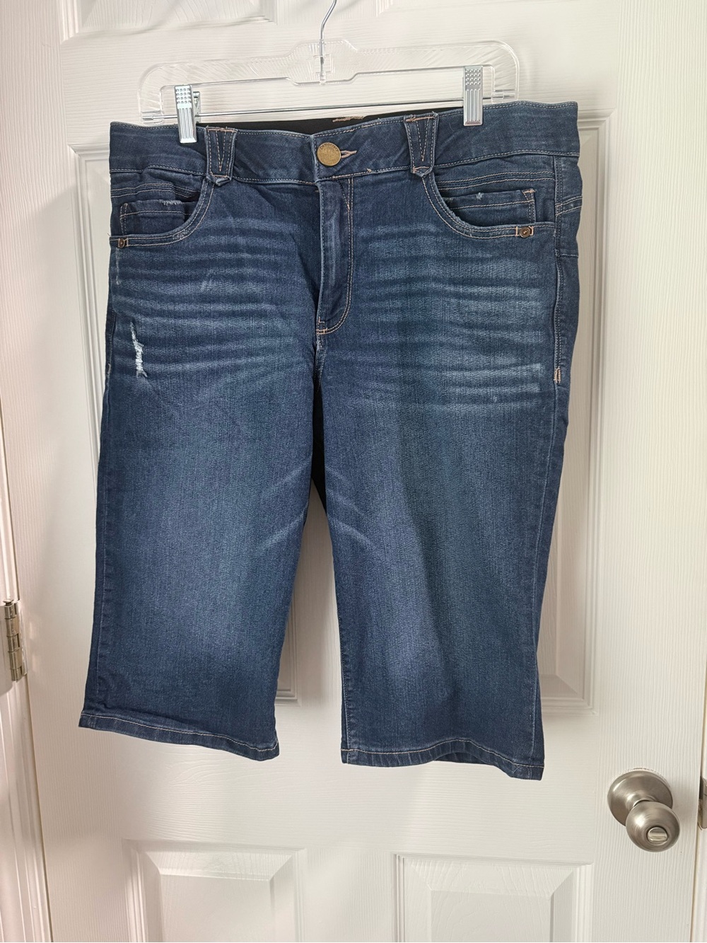 Democracy Distressed 13” Bermuda Shorts Ab Solution